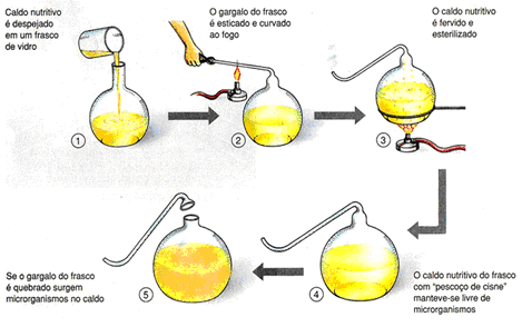 Abiogênese E Biogênese: Geração Espontânea, Experimento De Redi E Resumo