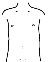 As partes do corpo humano em desenho