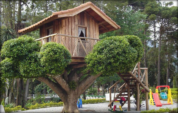 Como fazer uma casa na árvore - Fc Noticias