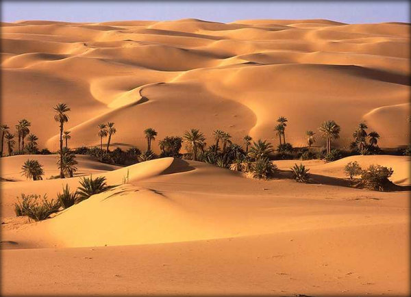 Qual deserto maior do mundo