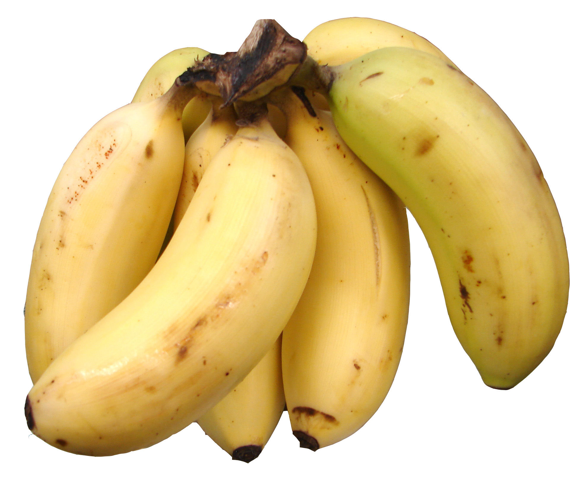 Tipos de banana – Fc Noticias