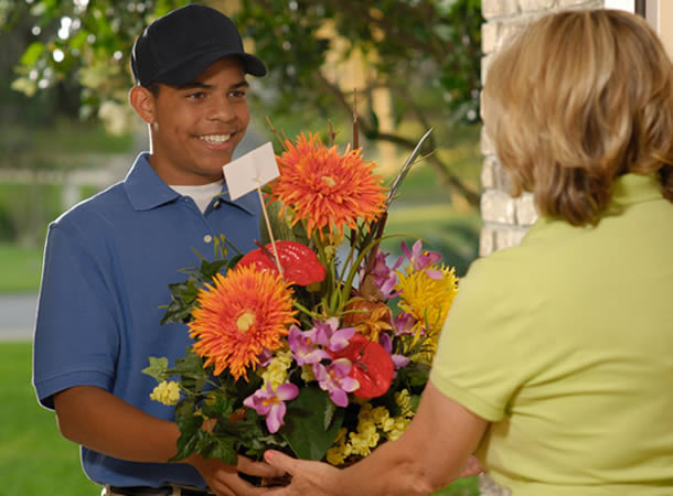 Flores 