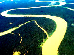 Floresta Amazônica (Foto: Reprodução)
