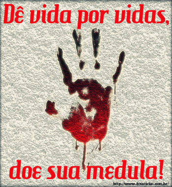 Dicas para ser um doador de medula óssea