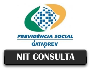 NIT Consulta