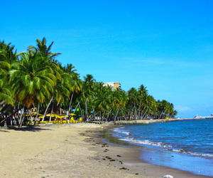 Ponta verde