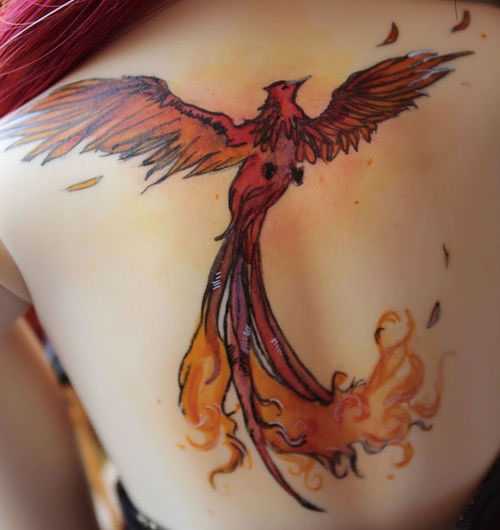 tatuagem de fênix