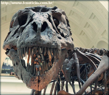 Explicação científica sobre a possibilidade de existência dos dinossauros