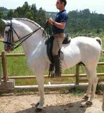 Montando cavalo 