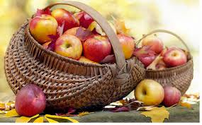fruta 