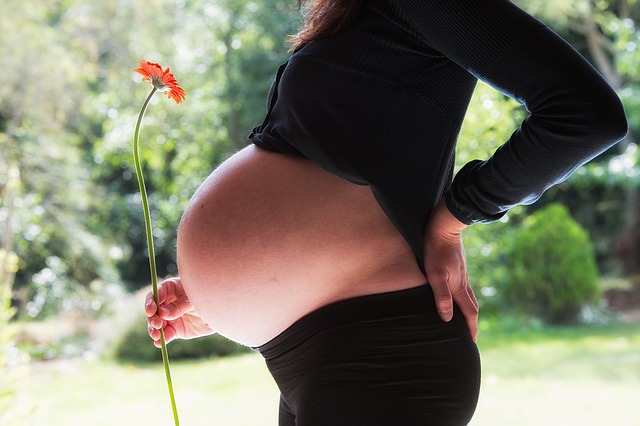 Mulher grávida com flor na mão