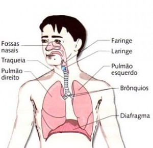 Respiração