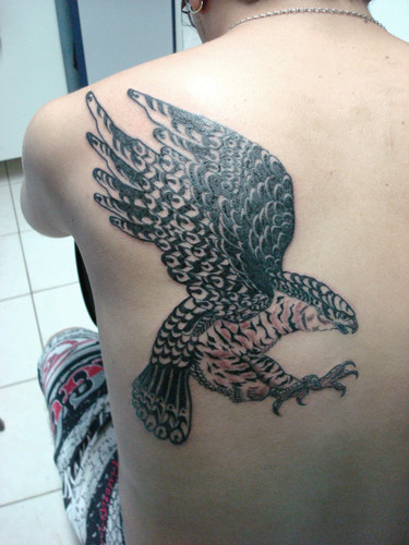 tatuagem de falcão